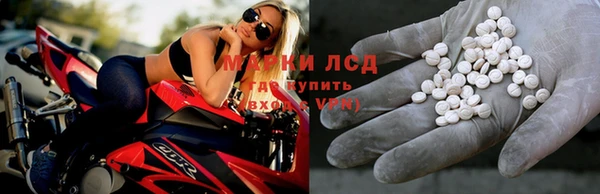 ПСИЛОЦИБИНОВЫЕ ГРИБЫ Зеленокумск