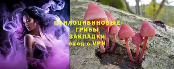 a pvp Заволжск